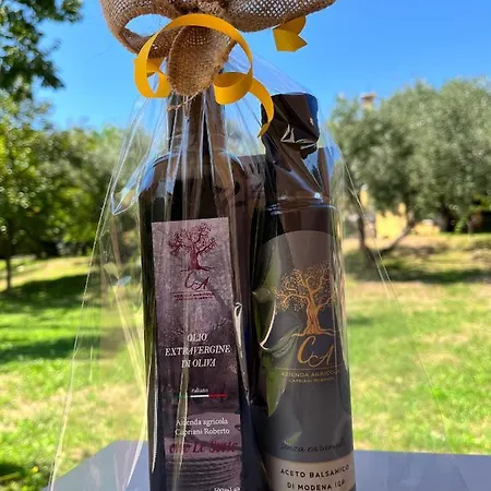 Casa Alessandra 托里德尔贝纳科